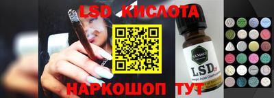стафф Кандалакша