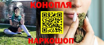 стафф Кандалакша