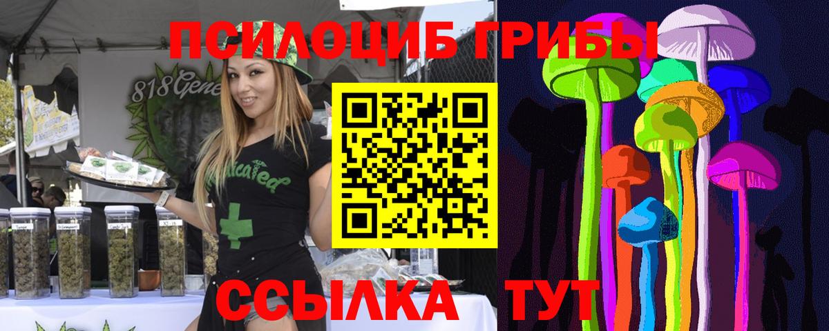 Псилоцибиновые грибы прущие грибы  Вход с VPN  Кувандык 